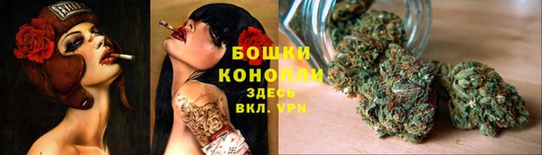 ПСИЛОЦИБИНОВЫЕ ГРИБЫ Каменка
