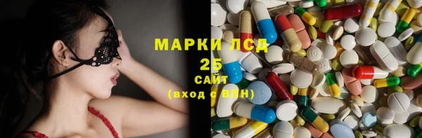 ПСИЛОЦИБИНОВЫЕ ГРИБЫ Каменка