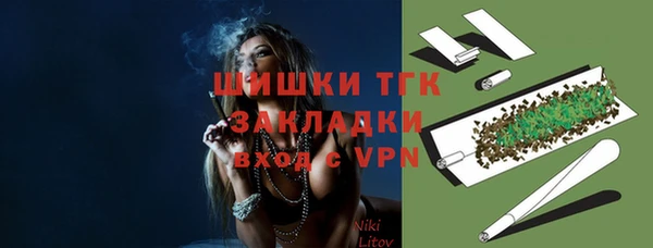 PSILOCYBIN Каменногорск