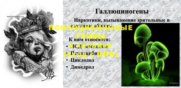 PSILOCYBIN Каменногорск