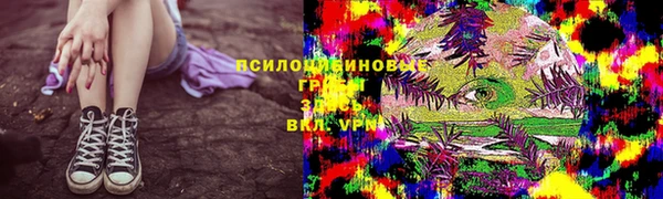 ПСИЛОЦИБИНОВЫЕ ГРИБЫ Каменск-Шахтинский