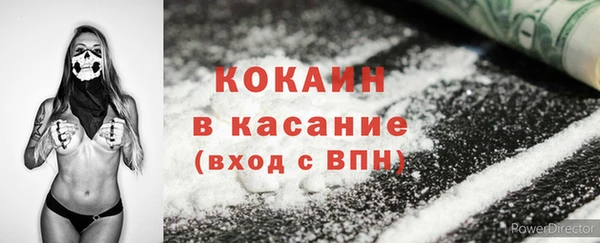 PSILOCYBIN Каменногорск