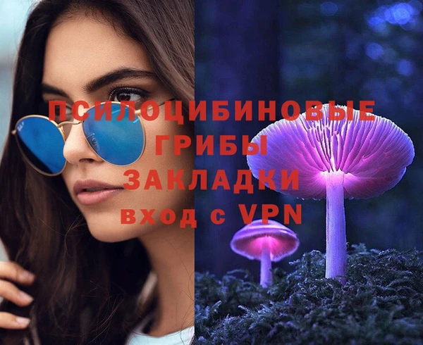 PSILOCYBIN Каменногорск