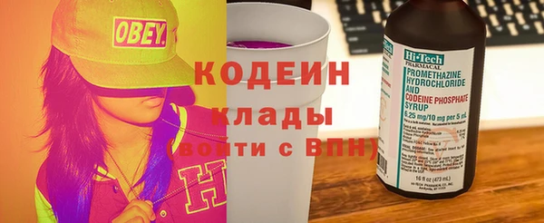 прущие грибы Вязники