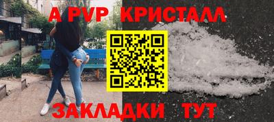 твердый Бийск