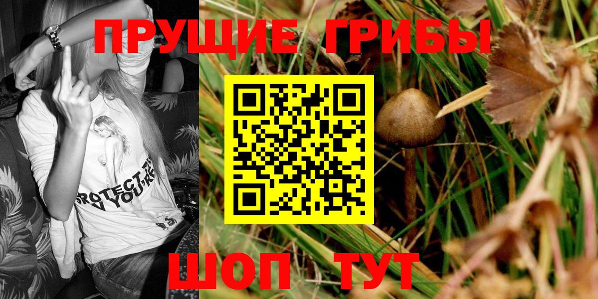 Галлюциногенные грибы мицелий Камышлов