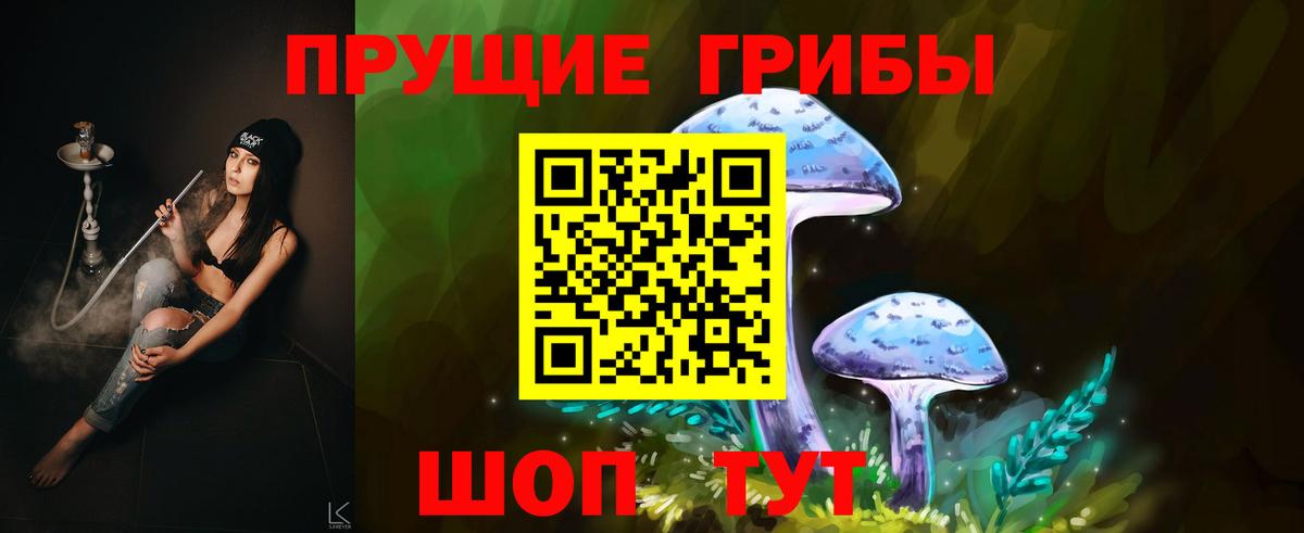 купить   Галлюциногенные грибы MAGIC MUSHROOMS  Вход с VPN  Камышлов 