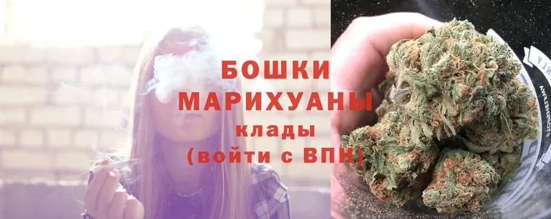 купить  цена  Камышлов  Бошки марихуана OG Kush 